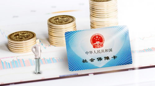 软件开发人员公司职工社会保险年度费用分析